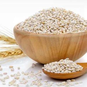 Farine d'orge de qualité supérieure pour la pâtisserie et les collations saines, vente en gros directe de farine d'orge de haute qualité pour les acheteurs du monde entier - Product Image 6