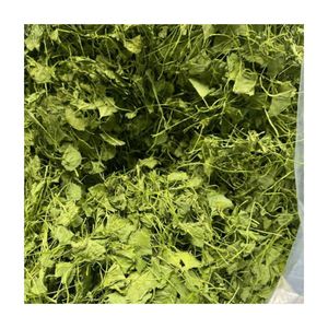 Hojas de Gotu Kola Secas al por Mayor de Vietnam para Extracto en Polvo de Centella Asiática, Hojas Puras de Pennywort, ¡Gran Venta! - Product Image 2