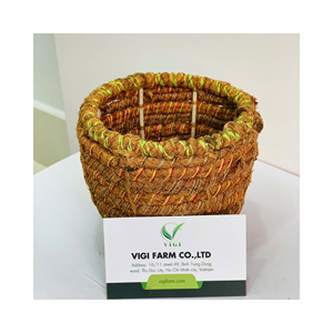 Macetas de fibra de coco natural para plántulas, macetas de vivero de fibra de coco, vasos biodegradables para germinación de semillas, macetas para flores de jardín - Product Image 1