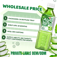 VINUT 500ml Aloë Vera Verfrissende Drank OEM ODM Private Label Drankleverancier