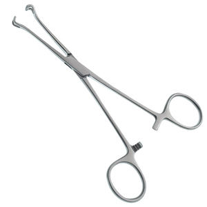 Pinces de Babcock de haute qualité en acier inoxydable, pinces chirurgicales, pinces de Babcock - Product Image 1