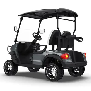 Carrito de golf motorizado de nuevo diseño con freno de disco de 2 asientos Carrito de golf eléctrico personal Street Legal