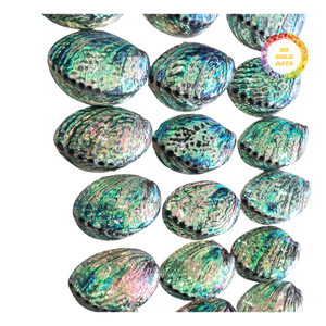 งานฝีมือเปลือกหอยเป๋าฮื้อสีเขียวธรรมชาติ ตกแต่งด้วยมือ - Product Image 1