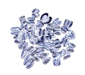 Dendrite โอปอลควอทซ์อาเกต Cabochon คู่พลอย Cabochon คุณภาพสูงสำหรับเครื่องประดับอัญมณีในราคาโรงงานสำหรับต่างหู - Product Image 1