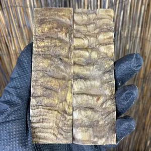 Escala de Cuerno de Carnero Pulida a Mano - Herramienta de Medición de Estilo Animal Ecológica y Artículo Decorativo con Tamaño Personalizable - Product Image 1