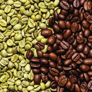 PREMIUM ARABICA AND ROBUSTA COFFEE BEANS BULK SUPPLY FOR GLOBAL ROASTERS - Product Image 1