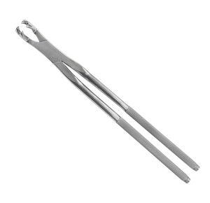 Premium Horse Dental Forceps Equine <b>Tooth</b> Removal Surgical <b>Tools</b> TARIQ MFG CO - Product Image 5