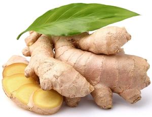EXPORT STANDARD FRESH GINGER / SELECTED WASHED AND UNWASHED FRESH GINGER - Product Image 3