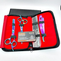 Kit de ciseaux de coiffeur multicolores pour couper et amincir l'ensemble de ciseaux de coiffeur avec rasoir et peigne outils de coiffeur personnalisés