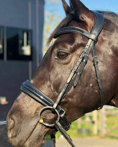 Brida de Cuero Premium Acolchada y Moldeada para Caballo, con Hebilla de Alta Calidad, Personalizable, en Varios Colores, para Equitación - Product Image 1