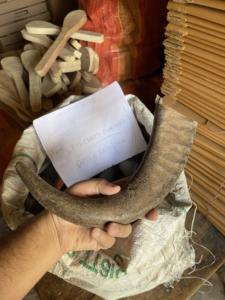 Punta de Cuerno de Búfalo Natural Ecológica, Color Negro Rústico, para Navidad y Año Nuevo Chino - Product Image 3