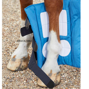 Protégez et soutenez les pattes de votre cheval avec des protections de qualité supérieure. Les bandages magnétiques pour bottes peuvent contribuer à maintenir le bien-être général. - Product Image 4