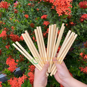 Juego de pajitas de bambú natural 100% con logotipo láser Suministros para fiestas ecológicos biodegradables de Eco2go Vietnam - Product Image 3