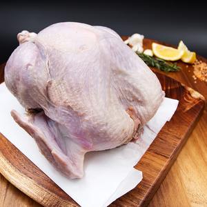 Pavo Entero Congelado de Calidad de Exportación a Precio Accesible, Pavo Entero Fresco Disponible en Todo el Mundo - Product Image 1