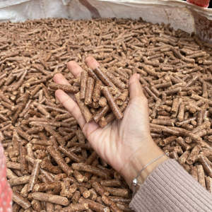 2026 Compre Directamente de Fábrica Pellets de Madera de Pino 100% Fuente Confiable Sistema de Calefacción Energía Renovable Envío a Granel Austria 15kg - Product Image 1