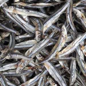 ปลาแอนโชวี่แห้งคุณภาพสูงสำหรับทำอาหารและผลิตอาหารทะเล สะอาด ได้มาตรฐานส่งออก - Product Image 3
