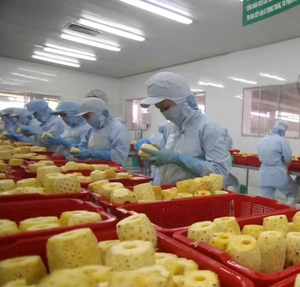 Ananas séché doux et sucré de qualité export, sélectionné à la main, séché à basse température, emballage sous vide en vrac - Product Image 1