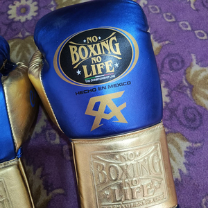 ถุงมือ MMA หนังแท้ Custom No Boxing No Life สำหรับฝึกซ้อมและต่อสู้ กันลื่น ระบายอากาศ ป้องกันรังสียูวี แบบเต็มนิ้ว ผูกเชือก - Product Image 3