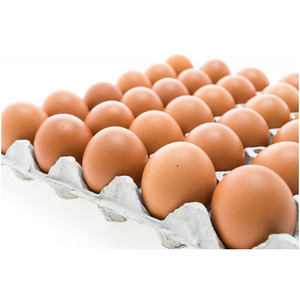 ไข่ไก่สดราคาถูกขายส่งจำนวนมาก ไข่ไก่สีน้ำตาลสดจากฟาร์มขายส่ง - Product Image 3