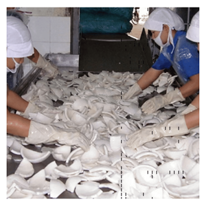 99 GOLD DATA Demi-noix de coco surgelées IQF sous vide de Ben Tre Vietnam pour boissons et desserts, durée de conservation de 24 mois - Product Image 4