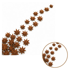 Vietnam Manufacturer Supply International Standard Wholesale Price Best Selling Star Anise Bulk Supply - Product Image 5
