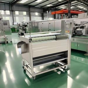 Industrial Brush Peeling Machine Stainless Steel <b>Vegetable</b> Cleaning Equipment for Carrots Potatoes Radish Sweet Potato - Product Image 5