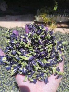 Wholesale Bulk Natural Dried Butterfly Pea Flower Vietnam Supplier Grade Dried Butterfly Pea Flower For Tea Beverage - Product Image 6