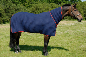 2026 Best Quality Winter Horse Stable <b>Rugs</b> Custom Cotton Blankets with Fur Lining, Warm Durable Stable Horse <b>Rug</b> Designs - Product Image 6