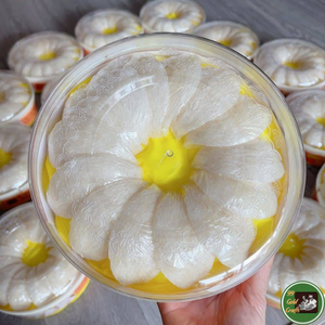 Nido de Pájaro Comestible Hecho con Material Natural de Nido de Golondrina Seco para Preparación de Sopas y Postres 99 Dold Data de Vietnam - Product Image 6