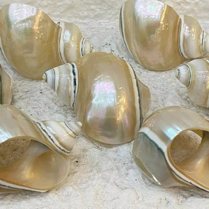 Decoración de Mesa para Banquetes de Hotel, Anillo para Servilletas con Tema Oceánico, Porta Servilletas con Forma de Caracol y Concha, Hecho a Mano en Vietnam - Product Image 1