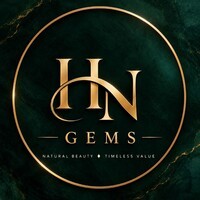H N GEMS logo