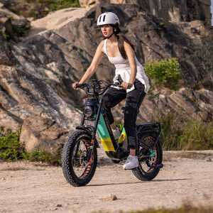 Bicicleta Eléctrica de Montaña Lankeleisi RX800 Plus de 1000W con Llantas Gruesas de 20 Pulgadas, Suspensión Completa, Batería de 48V, Sensor de Torque, Bicicleta Eléctrica SUV para Adultos - Product Image 2