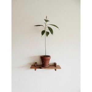 Estante Flotante de Madera de Mango Tallado Estilo Bohemio |   Artesanía al por Mayor |   Aqdus Saleem - Product Image 6