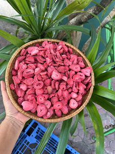 สตรอว์เบอร์รีอบแห้งเวียดนาม ผลไม้อบแห้งสำหรับช็อกโกแลต เบเกอรี่ ของหวาน ท็อปปิ้ง ชา และของว่าง - Product Image 2