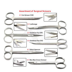 Ensemble d'instruments chirurgicaux dentaires Goldman Fox LaGrange Beebee 6 pièces en acier inoxydable, ciseaux à iris, ciseaux dentaires manuels - Product Image 6