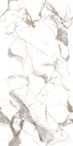 008 800x1600mm Endless-Surface Porcelain Tiles - Product Image 3