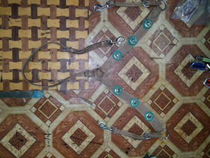 SE VENDE COREZO DE CUERO DE CABALLO WESTERN CON CUERO COLORANTE EN Dollar 6 full COB Shetland - Product Image 5