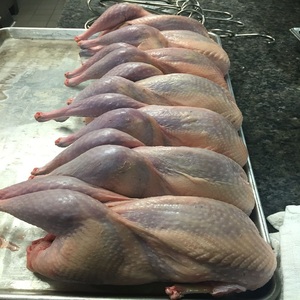 ไก่แช่แข็งทั้งตัวแบบขายส่งสำหรับซูเปอร์มาร์เก็ตและผู้ค้าส่ง ทำความสะอาดแล้ว ไม่มีจุดดำ รับผลิตฉลาก OEM - Product Image 5