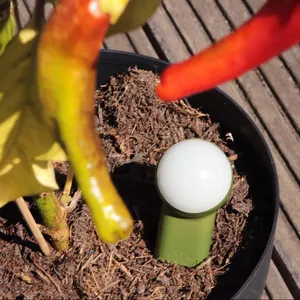 เครื่องวัดความชื้นในดิน CITICITY สำหรับพืชในบ้าน เซ็นเซอร์วัดความชื้นในดินแบบสองขา สำหรับสวนและพืช ใช้งานง่าย อ่านค่าได้ชัดเจน - Product Image 4