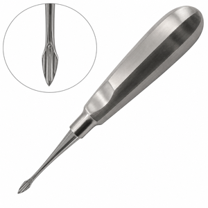 Elevador de Raíces Curvo Grande Manual de Acero Inoxidable Quirúrgico, Instrumento de Extracción Dental, Herramienta para Cirugía Oral - Product Image 4