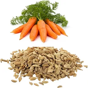 น้ำมันตัวพาบริสุทธิ์สูง 5 กก. น้ำมันเมล็ดแครอท (Daucus Carota) น้ำมันสกัดเย็นธรรมชาติ - โดย Katyani Exports จำหน่ายส่งขายส่ง - Product Image 3