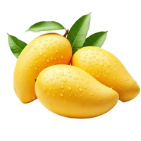 Premium Gefreeze-droogde Durian Zoete Fruit Snack Knapperig Natuurlijke Kleur & Smaak Bulk Vietnam Additiefvrij Gedroogde Durian Schijfjes