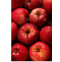 Pommes fraîches cultivées naturellement, fruits croustillants de qualité supérieure pour les chaînes de vente au détail, la distribution en gros et les marchés du commerce international