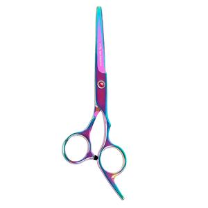 Tijeras de corte de pelo 6,5 en tijeras de peluquero profesionales para suministros de salón de corte de pelo y herramientas de estilista de Apto Enterprises - Product Image 1