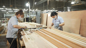 Wholesale Low Price EFS Brand Modern Design Walnut Molding Walls Crown Baseboard 1 Year Warranty Durable Eco-Friendly Factory - Product Image 5