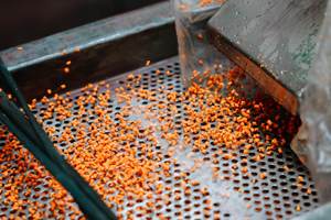 Masterbatch de couleur pour produits plastiques – Injection, extrusion et soufflage, couleurs personnalisées disponibles - Product Image 5