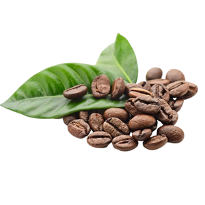 PRECIO COMPETITIVO Mezcla perfecta 20% Arábica 80% Granos de café tostados Robusta Sabor fuerte Grano entero Café Procesado común - Product Image 1