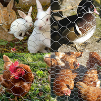 Grillage robuste pour cages à volailles, enclos à lapins et protection agricole