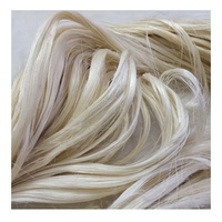 Fibre de sisal 100 % polyester de haute qualité, écologique, antibactérienne, pour la fabrication de fil, prix de gros réduits