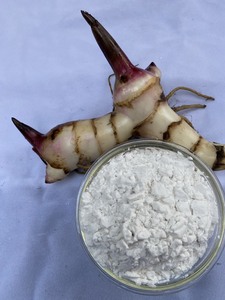 Poudre d'amidon de racine d'arrowroot à prix compétitif, ingrédient naturel biologique pour la transformation alimentaire, emballée en sacs en vrac, Vietnam - Product Image 2